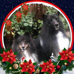 Meet your Posher, Mary ellen